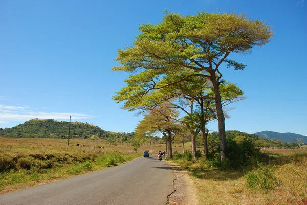 Intrometido ser paisagem Imagens De Bancos De Imagens