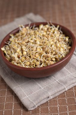 Mercimek lahanası