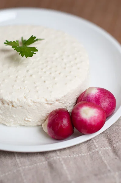 Brotes de lentejas — Foto de Stock