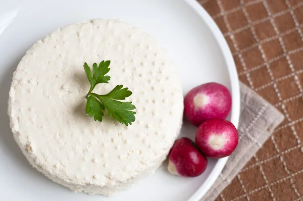 Brotes de lentejas — Foto de Stock