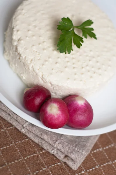 Brotes de lentejas — Foto de Stock