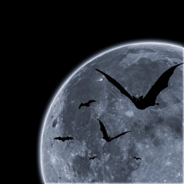 Chauves-souris contre la lune — Photo