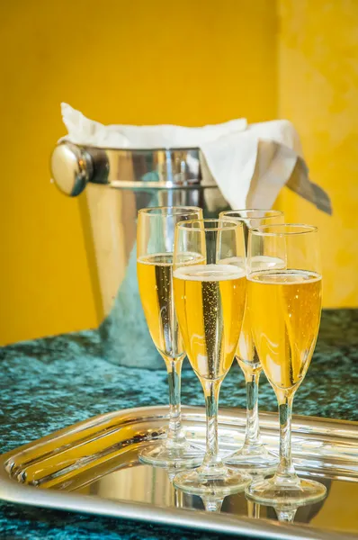 Şampanya bardakları