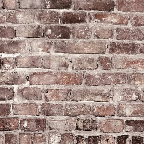 Grunge Wall Arrière-plan et élément de texture - Modèle — Photo