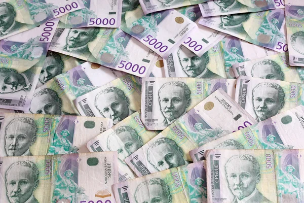 Serbiska valuta - en hög av 5000 dinarer sedlar — Stockfoto