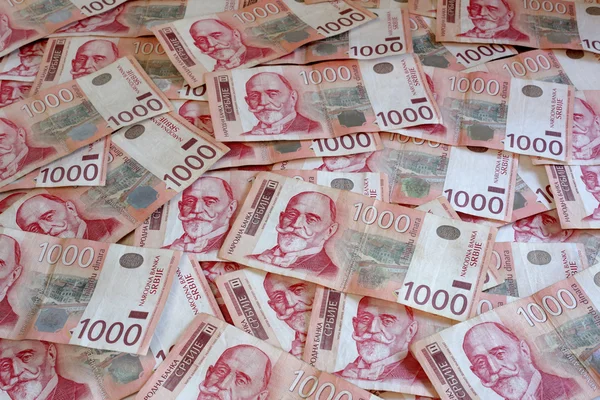 Serbiska valuta - en hög av 1000 dinarer sedlar — Stockfoto