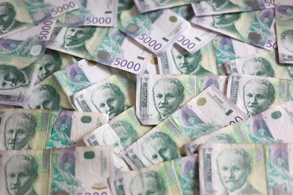 Serbiska valuta - en hög av 5000 dinarer sedlar — Stockfoto