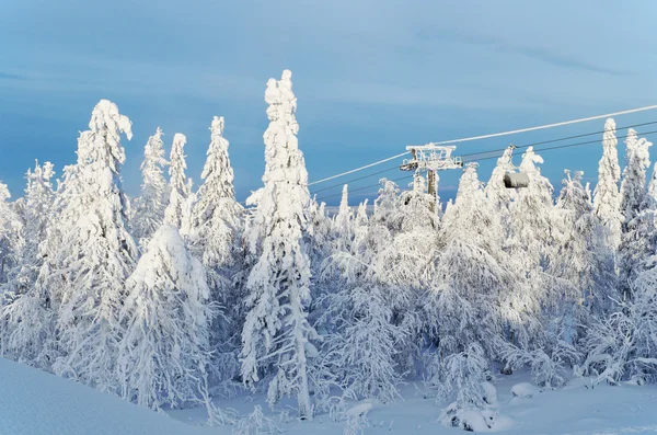 雪に覆われた木の中でスキー場のリフト — ストック写真