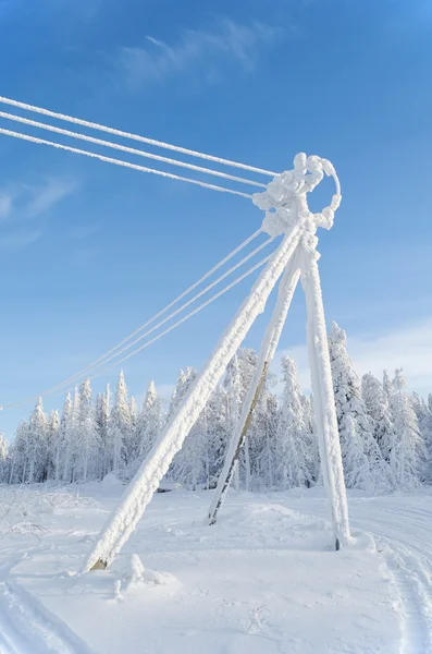The frozen electric line — Stock Photo, Image