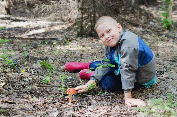 Szczęśliwym chłopcem, który znalazł grzyb — Zdjęcie stockowe