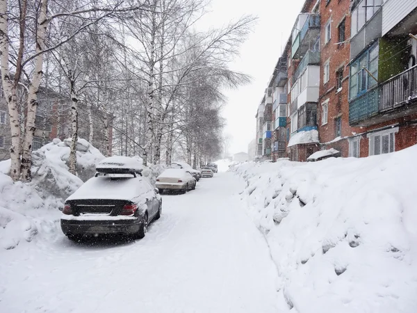 Queda de neve — Fotografia de Stock