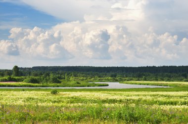 nehir neiva yaz güneşli gün, Rusya Federasyonu