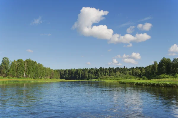 Chusovaya River Summer Clear Day Russia — Stock Photo, Image
