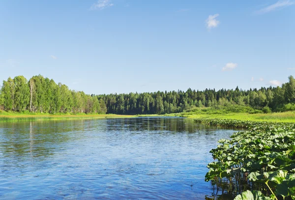 Chusovaya River Klar Sommardag Ryssland — Stockfoto