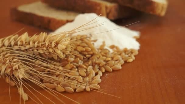Wheat Grain Flour Bread Dolly Shot — Stock Video