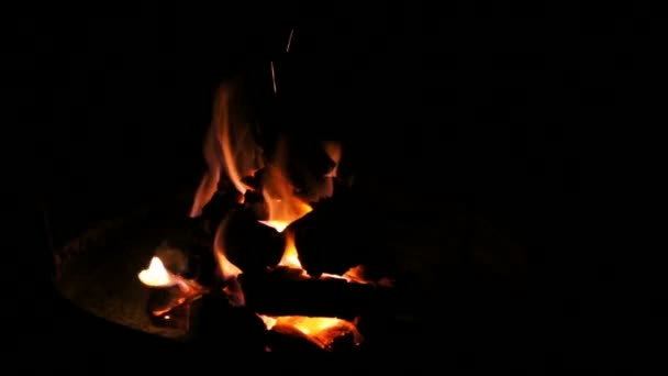 Fire Pit With Coals Falling — Stock Video