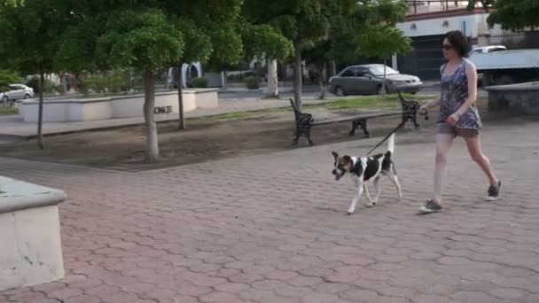 Mujer entrenando a su perro en un parque — Vídeos de Stock