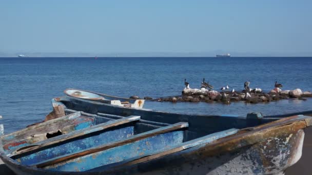 Antiguos barcos de madera en la costa del océano — Vídeos de Stock