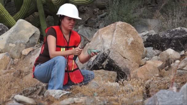 Mujer geóloga Rock Muestra — Vídeo de stock