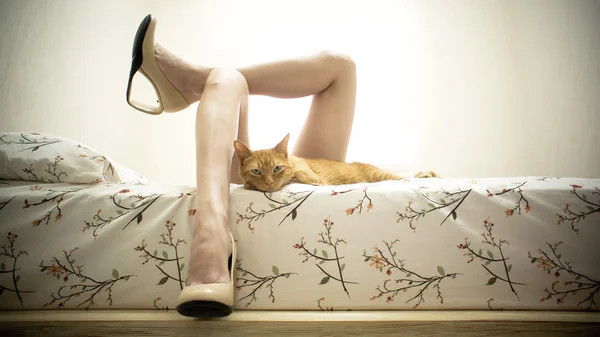 Pernas femininas na cama com um gato Fotos De Bancos De Imagens