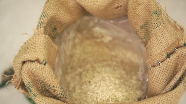 Рис пробивается сквозь пальцы на руках — стоковое видео