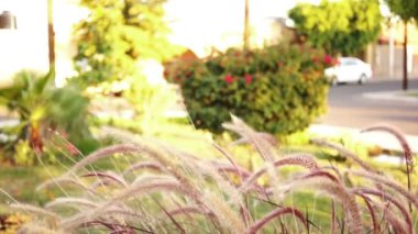 arkadaşlar park'toplantısında sarılma