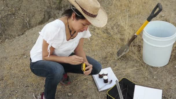 Ecologista femenina inspeccionando muestras — Vídeos de Stock