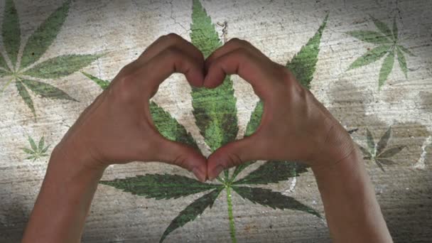 Manos Símbolo del corazón Hoja de marihuana — Vídeo de stock