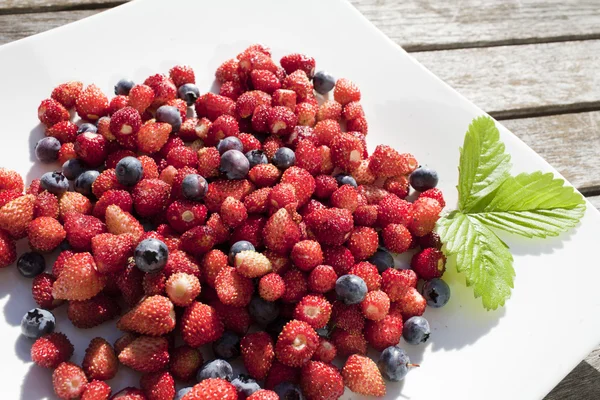 Yabani çilek ve bilberry beyaz tabakta vardır — Stok fotoğraf