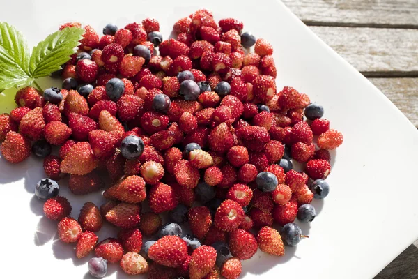 Yabani çilek ve bilberry beyaz tabakta vardır — Stok fotoğraf