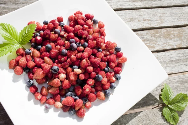 Yabani çilek ve bilberry beyaz tabakta vardır — Stok fotoğraf