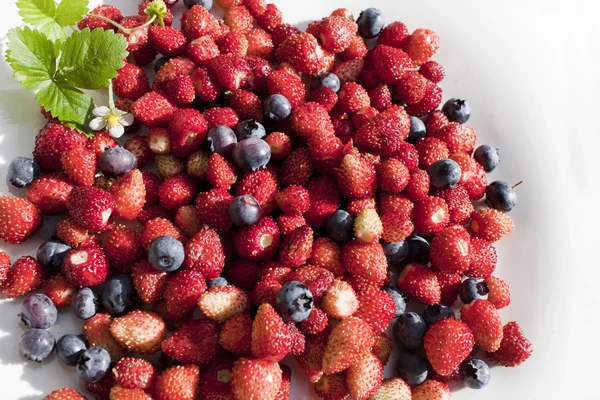 Yabani çilek ve bilberry beyaz tabakta vardır — Stok fotoğraf