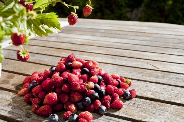 Lesní jahody a borůvky jsou na dřevěný stůl — Stock fotografie