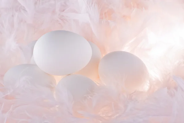 Uova bianche nelle piume rosa morbide, gentili — Foto Stock