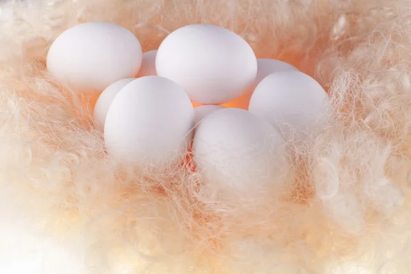 Uova bianche nella luce morbida, gentile su un allineamento — Foto Stock
