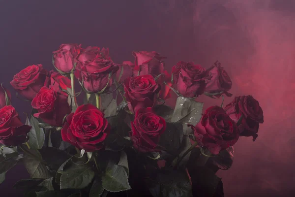 Red roses on a red smoky background — Stock Photo, Image