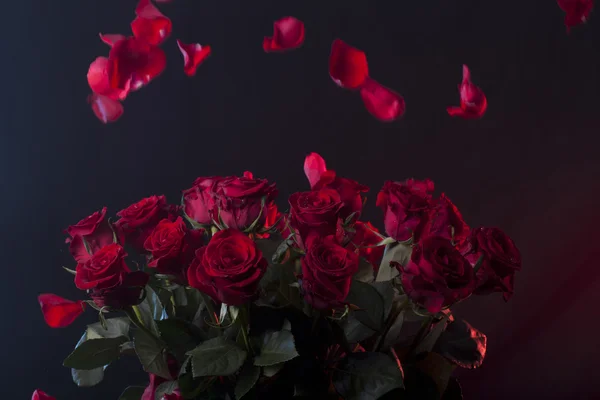 Bouquet of red roses on red and blue backgroud — Stock Photo, Image