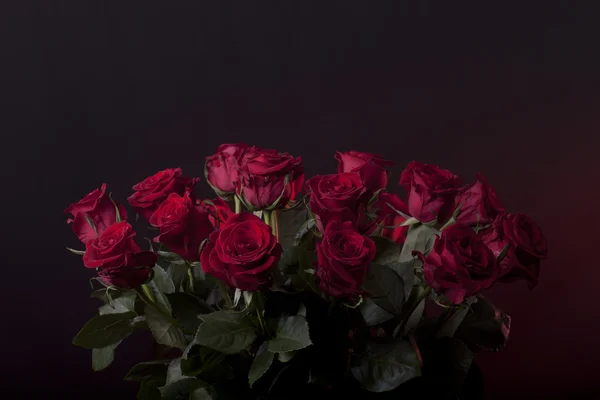 Buquê de rosas vermelhas em um fundo escuro — Fotografia de Stock