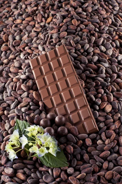 牛奶巧克力的可可豆 — 图库照片
