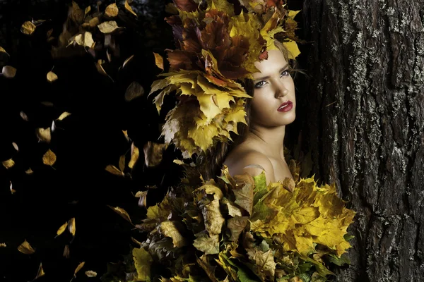 Mujer joven con hojas amarillas está cerca del árbol —  Fotos de Stock