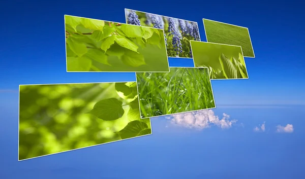 Grönt gräs — Stockfoto