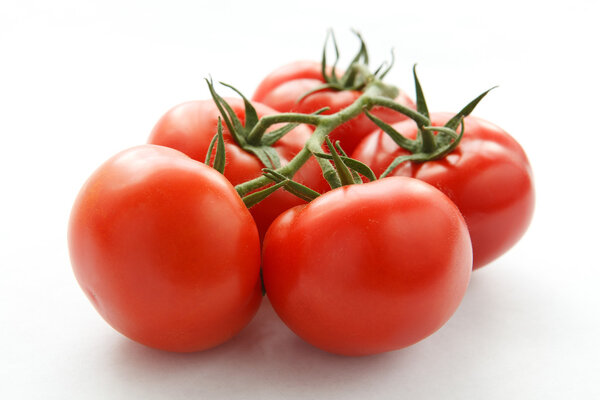 tomatoes