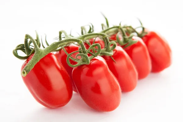 Tomaten — Stockfoto