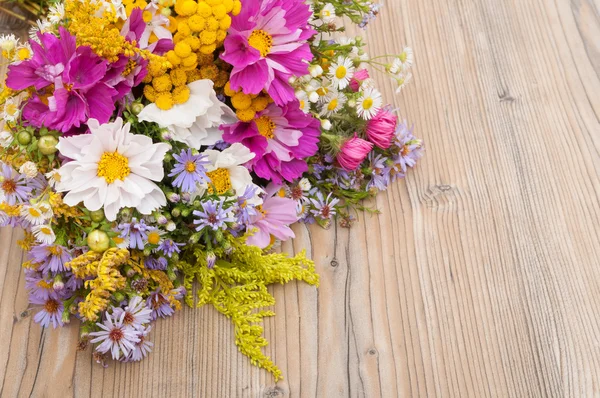 Wilde Sommerblumen — Stockfoto