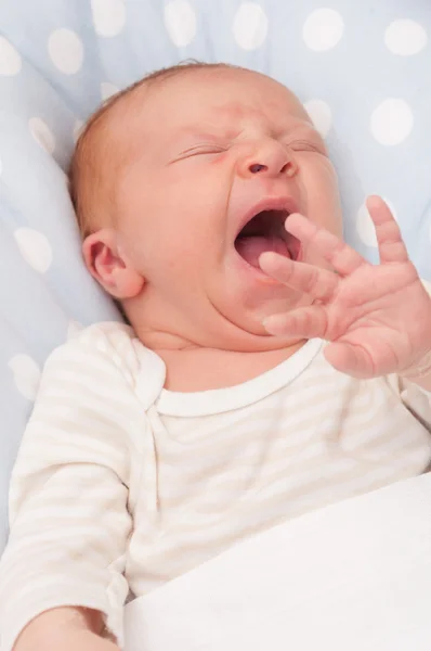 Neugeborenes Baby — Stockfoto