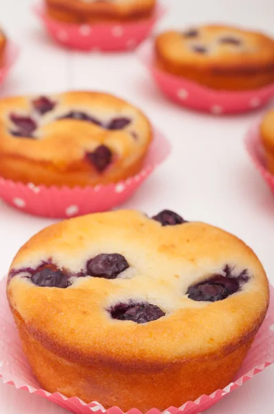 Blaubeermuffins — Stockfoto