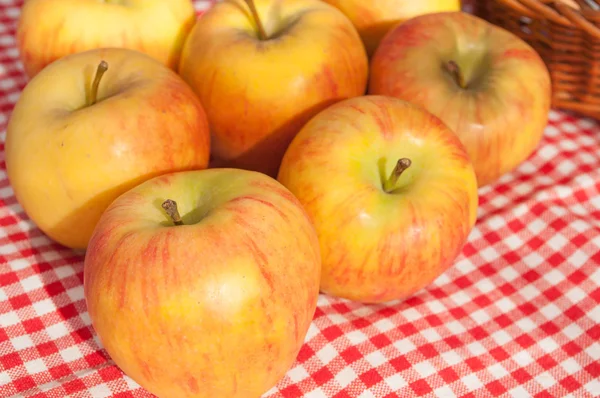 Apples — Stock Photo, Image