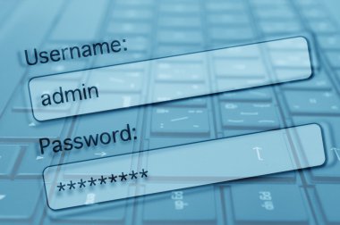 İnternet güvenliği kavramı