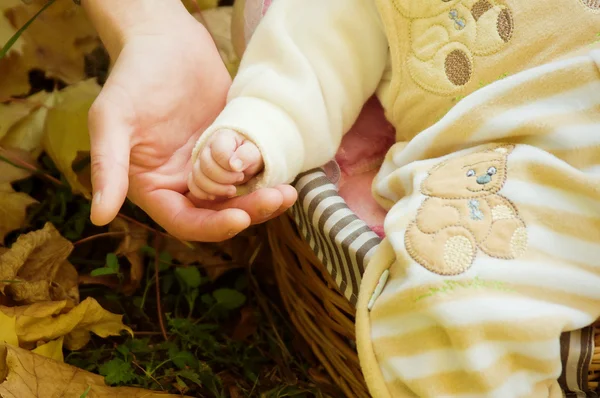 Мама держит ребенка за руку — стоковое фото