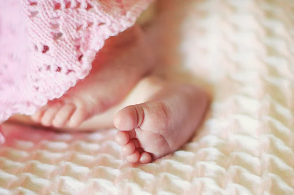 Neugeborene Babyfüße — Stockfoto